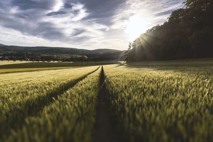 Provincia de Alberta Programa para el sector agroalimentario